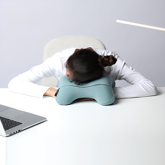 The Travel Pillow